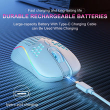 Techsconnect 2.4GHz wireless gaming mouse with RGB backlit, 6 buttons, adjustable DPI, Type-C recharge, ergonomic honeycomb design.